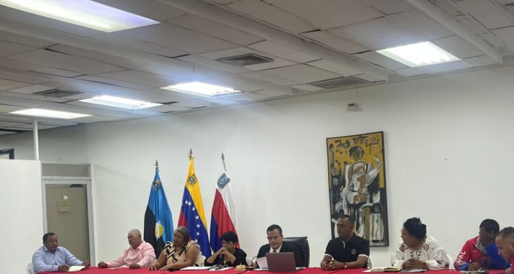 Cámara Municipal aprobó en primera discusión la reforma total de la creación del IMA 1 IMA