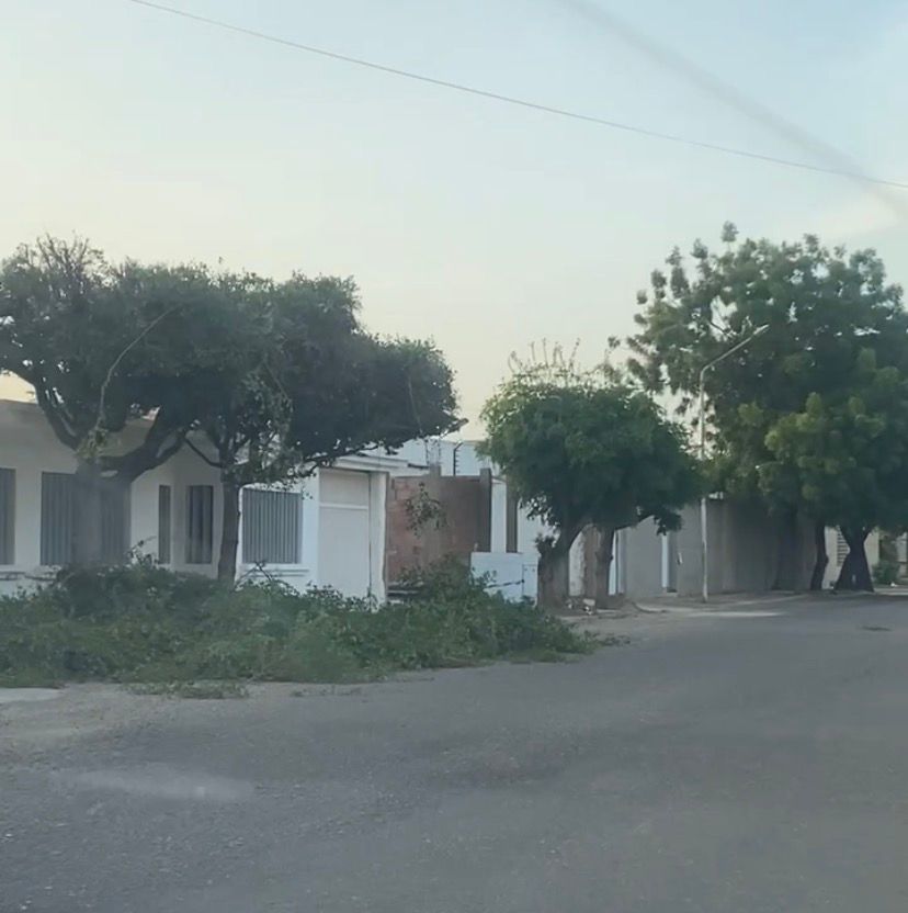 Alcaldía