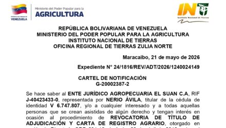 dcwuF8cr EL SUAN