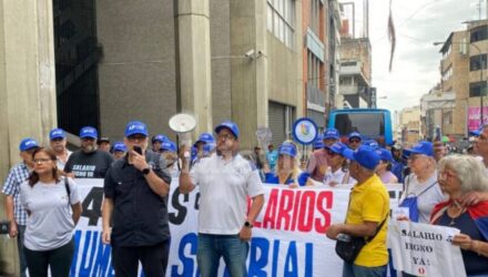Docentes