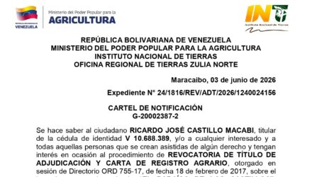 L9PhYnKi EL PARAISO DE LOS CASTILLOS
