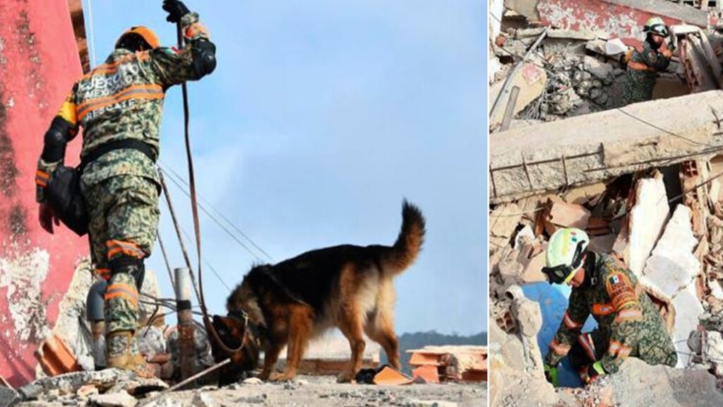 2.314 rescatistas de 24 países están operando en el país hasta el momento 2 Mexico rescate