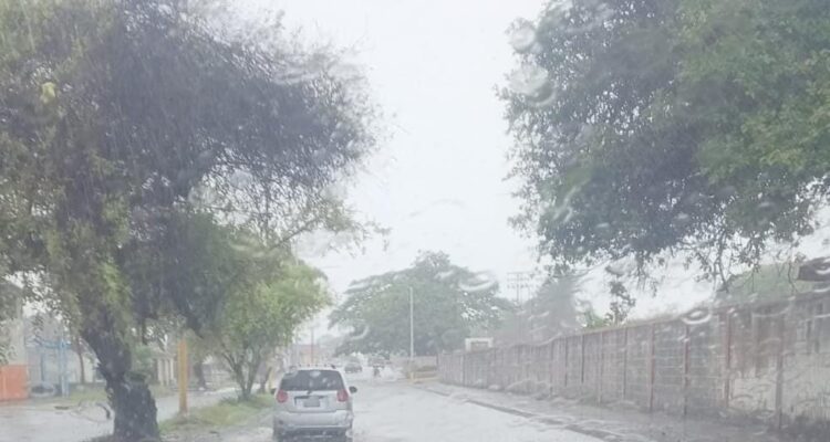 Sistema de gestión de riesgos mantiene despliegue ante la llegada de la onda tropical número 8 en Portuguesa 1 Onda
