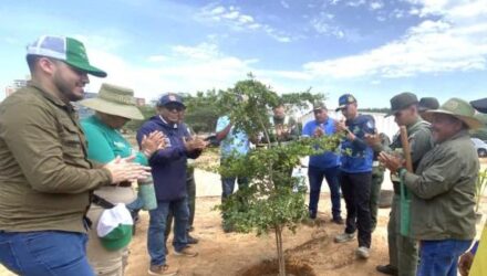 Maracaibo impulsa una nueva ordenanza para fortalecer la arborización urbana con enfoque ambiental 4 Maracaibo