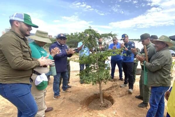 Maracaibo impulsa una nueva ordenanza para fortalecer la arborización urbana con enfoque ambiental 1 Maracaibo