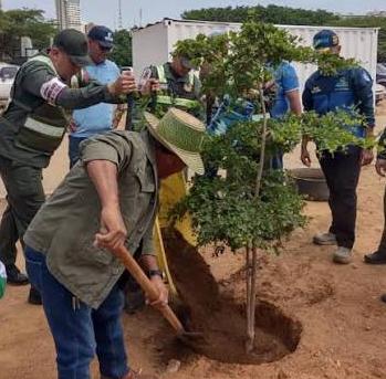 Maracaibo impulsa una nueva ordenanza para fortalecer la arborización urbana con enfoque ambiental 2 PHOTO 2026 06 23 17 38 10