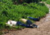 Asesinaron a tres hombres en zona rural de Cúcuta 9 Hombres