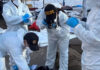 La prueba del fuego del CICPC… identificar con eficiencia a las víctimas del horrible doblete 5 Cicpc
