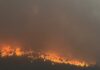 Declararon emergencia nacional por 4 grandes incendios en centro de España 5 Incendio