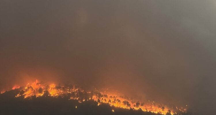 Declararon emergencia nacional por 4 grandes incendios en centro de España 1 Incendio