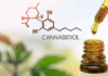El cannabidiol (CBD) no se considera un estupefaciente según la legislación europea pero en Venezuela la cosa es distinta 5 CBD