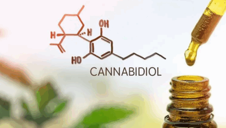 El cannabidiol (CBD) no se considera un estupefaciente según la legislación europea pero en venezuela la cosa es distinta 2 CBD