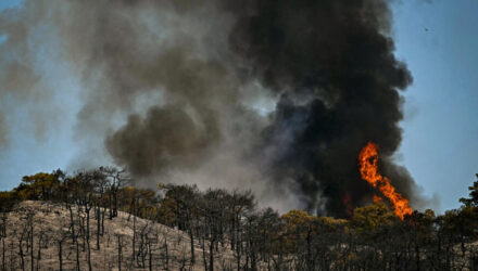 Los incendios se multiplican en Francia en medio de una nueva ola de calor 2 Francia