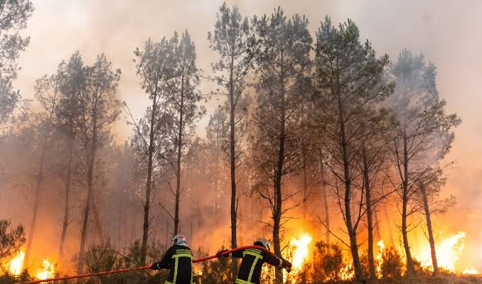 Francia confirmó nueva ola de calor que podría complicar los incendios 1 Francia