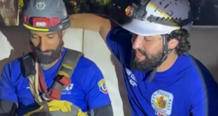 ¡Increíble! Hallaron, aún con vida, a un gato entre los escombros de La Guaira 1 Gato