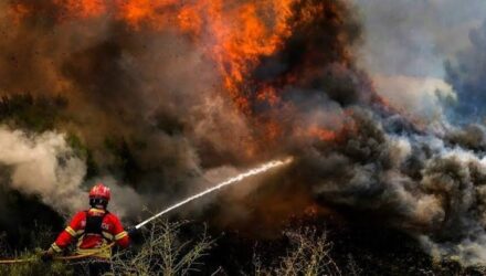 Los incendios arrasan un 32 % más de superficie forestal en la UE que hace un año 2 Incendio