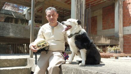Guía del reconocido perro rescatista Tsunami perdió su hogar tras los sismos en Venezuela 2 Tsunami