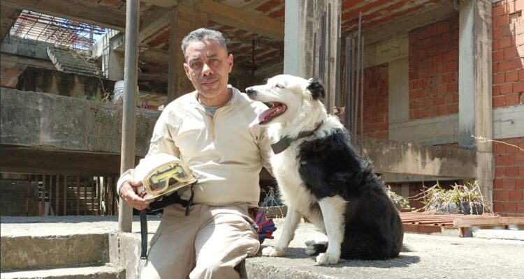 Guía del reconocido perro rescatista Tsunami perdió su hogar tras los sismos en Venezuela 1 Tsunami