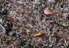 Marchas