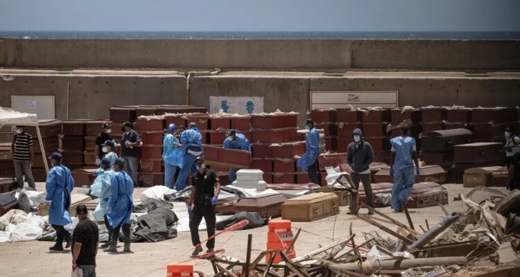 Gobierno convocó a realización de pruebas de ADN para identificar a víctimas de los terremotos 1 ADN
