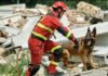 Nuevas cifras oficiales de la tragedia sísmica: 2.645 fallecidos y más de 12.000 heridos 5 cifras