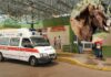Burro castró a un hombre de un mordisco 7 Burro