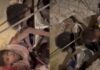 El milagroso rescate de una familia que quedó atrapada 11 días bajo los escombros 7 Rescate