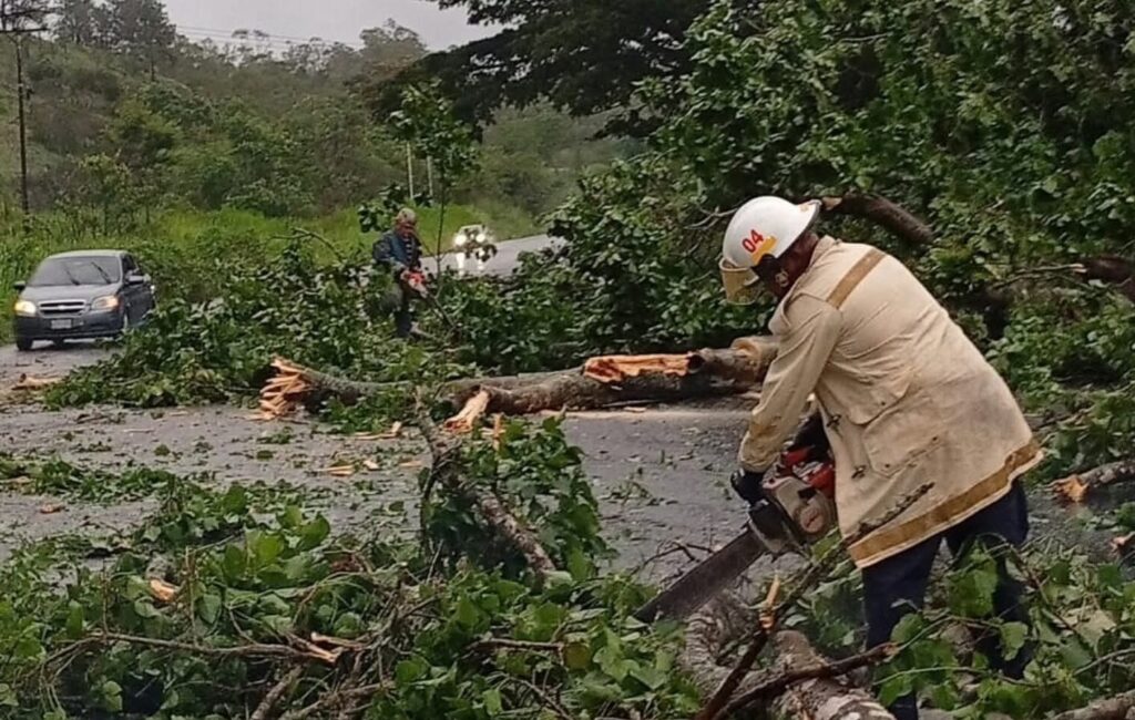 Lluvias y ráfagas de viento causaron estragos en sectores de Valencia 2 organismos trabajan en despeje de vias 119742
