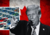 Trump anunció aranceles del 50 % a autos y acero canadienses 4 Trump
