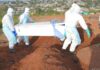 El brote actual de ébola en el Congo ya es el segundo más letal de la historia 7 Ebola