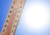 La ola de calor de finales de junio causó 9.600 muertes en Alemania 5 Calor