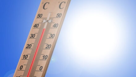 Calor