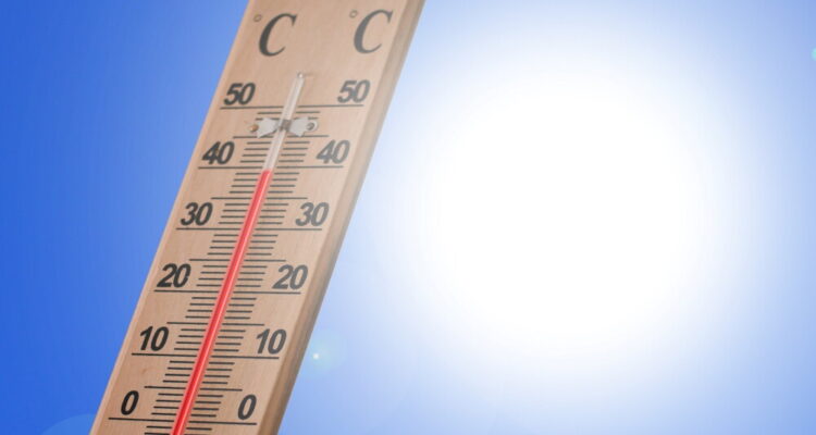 La ola de calor de finales de junio causó 9.600 muertes en Alemania 1 Calor