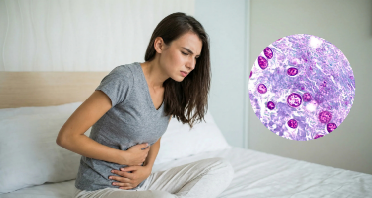 México confirmó 33 casos de ciclosporiasis y rechaza ser origen del brote en EE. UU. 1 Ciclosporiasis