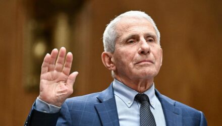 Comité del Senado declaró en desacato a Anthony Fauci por negarse a responder sobre el COVID-19 2 Comité