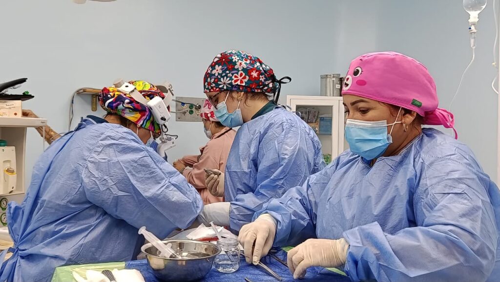 Plan Quirúrgico Nacional garantiza atención de ORL a niños en el Hospital de Especialidades Pediátricas 3 IMG 20260810 WA0066