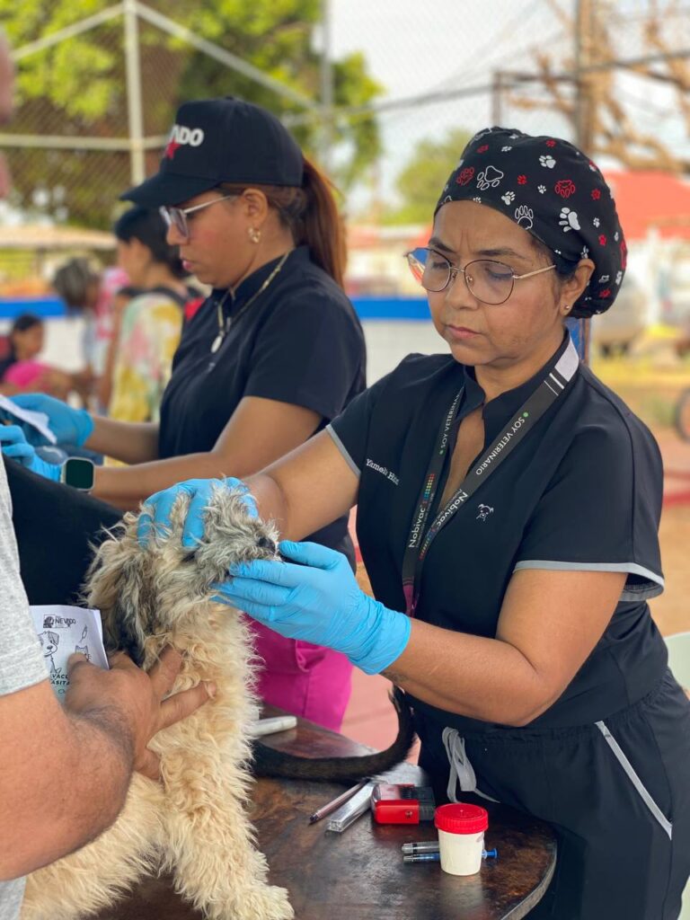 Misión Nevado desplegará este sábado gran Feria Animalista y jornada de vacunación antirrábica en Maracaibo 3 IMG 20260818 124015 709