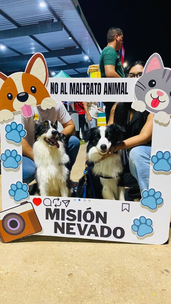 Misión Nevado desplegará este sábado gran Feria Animalista y jornada de vacunación antirrábica en Maracaibo 2 IMG 20260818 124605 561
