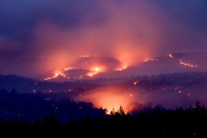 Hay que prestarle atención al cambio climático aunque Trump diga lo contrario: lluvias, incendios, calor, sequías 5 Incendio en EEUU
