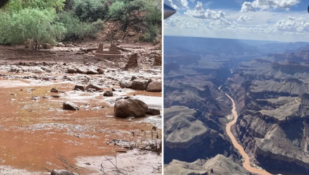 Un muerto y unos 15 desaparecidos tras inundación repentina en el Gran Cañón en Arizona 3 Inundaciones