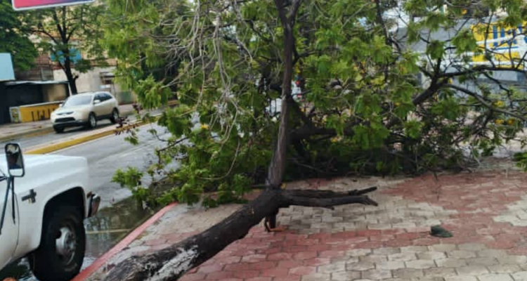 Así quedó Maracaibo tras el paso de la onda tropical número 40 1 LLUVIAS MCBO
