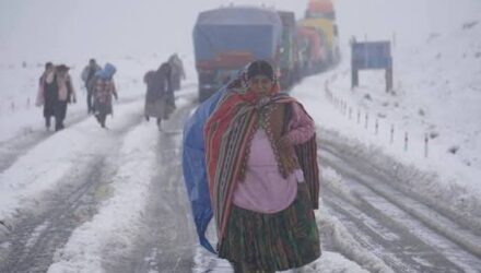 Las nevadas dejaron 26.220 familias y 323 comunidades afectadas en el suroeste de Bolivia 3 Nevada