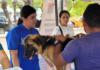 Alcaldía de Maracaibo se incorpora con Ministerio de Salud al plan masivo de vacunación contra la rabia 9 Rabia