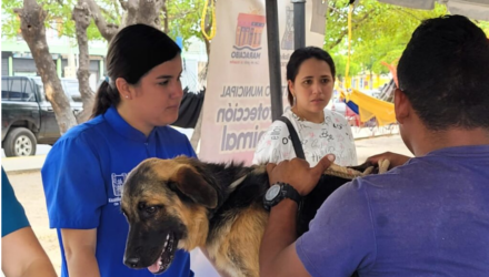 Alcaldía de Maracaibo se incorpora con Ministerio de Salud al plan masivo de vacunación contra la rabia 4 Rabia