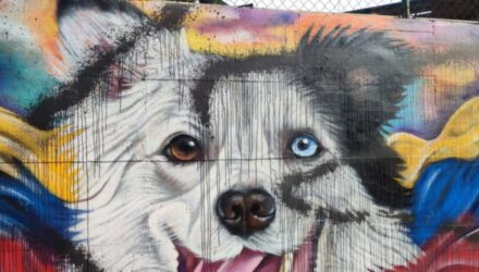 Desgraciados sin alma volvieron a vandalizar el mural en honor a Tsunami 5 Mural