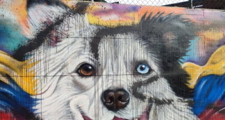 Desgraciados sin alma volvieron a vandalizar el mural en honor a Tsunami 1 Mural