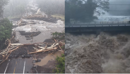 Tormenta Lala golpeó Hawái y dejó viviendas destruidas y más de 200 mil personas sin electricidad 2 Lala
