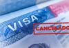 Estados Unidos canceló más de 175,000 visas por diversos motivos 7 Visa