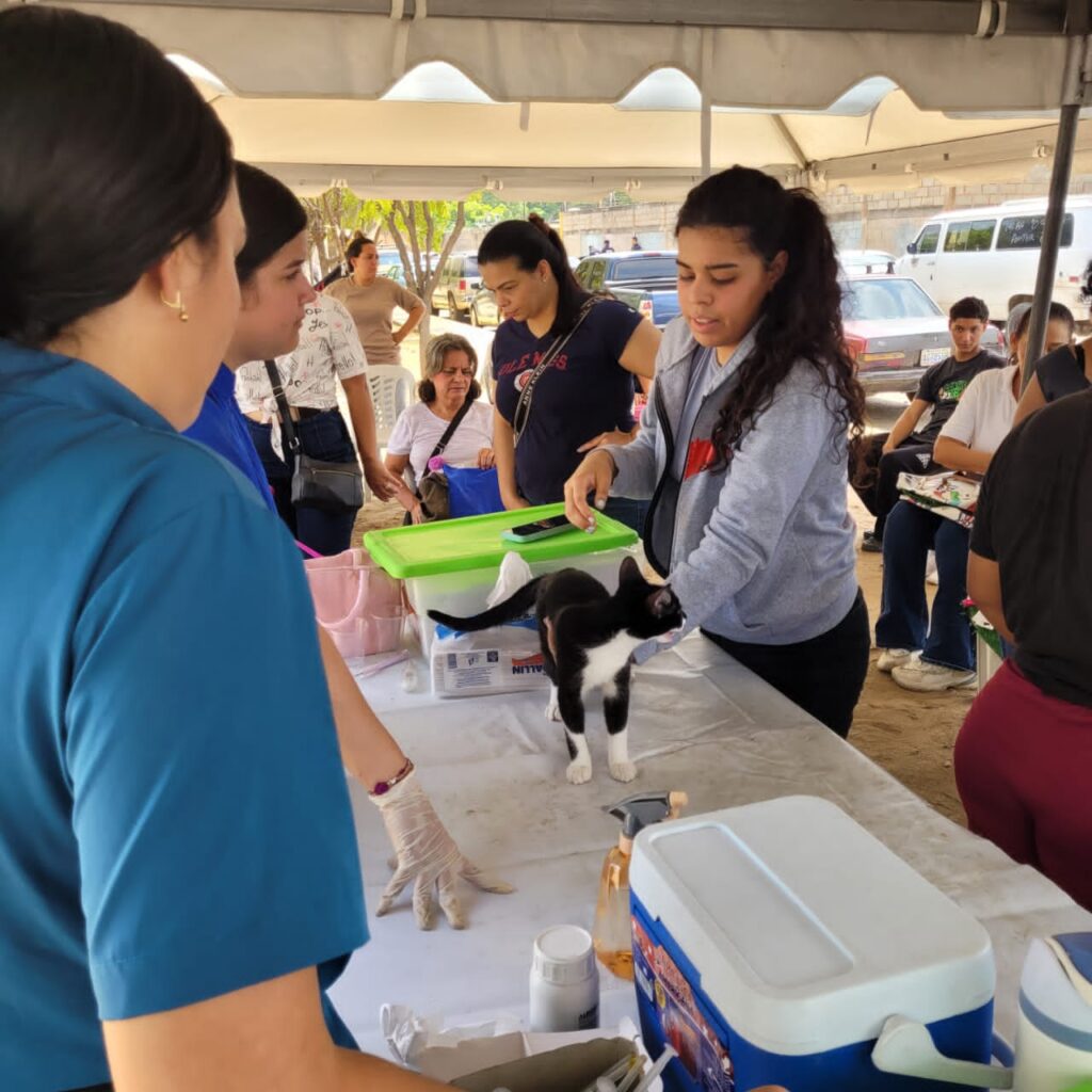 Alcaldía de Maracaibo se incorpora con Ministerio de Salud al plan masivo de vacunación contra la rabia 3 WhatsApp Image 2026 08 07 at 1.15.20 PM