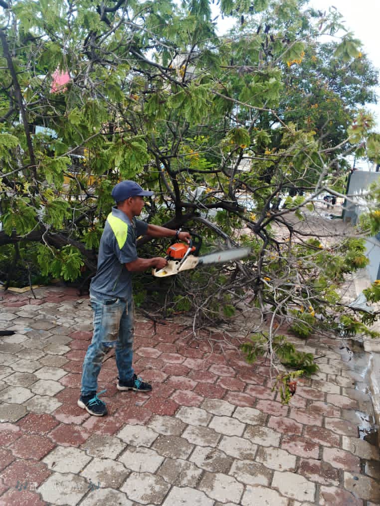 Así quedó Maracaibo tras el paso de la onda tropical número 40 3 WhatsApp Image 2026 08 24 at 8.23.37 AM 1